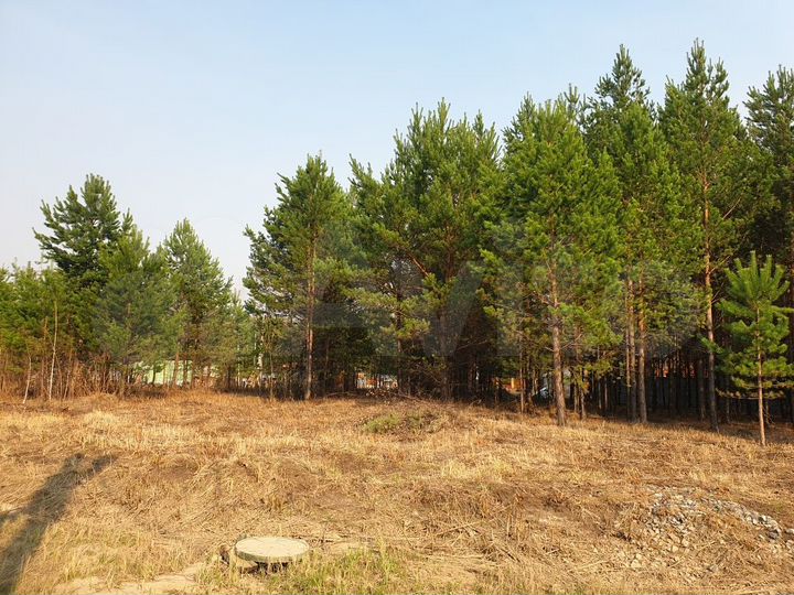 Участок 10 сот. (СНТ, ДНП)