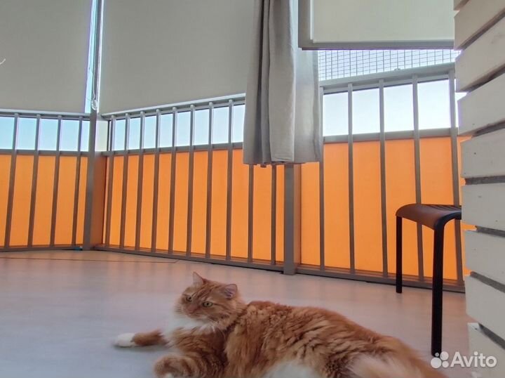 Рулонные шторы. Жалюзи