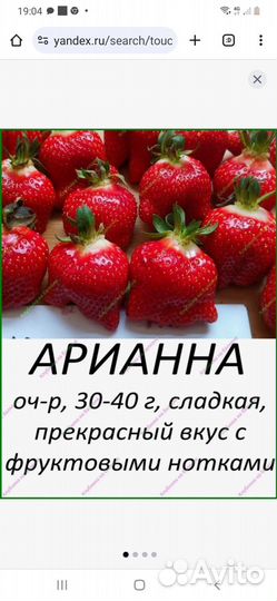 Рассада клубники: Арианна, Априка