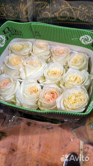 Цветы из эквадора,голландии И краснодара