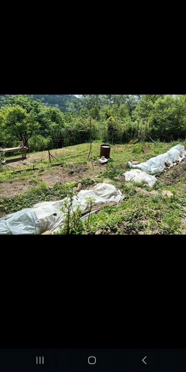 Участок 7,1 сот. (СНТ, ДНП)