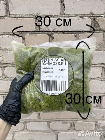 Стабилизированный мох ягель Лесной Зеленый