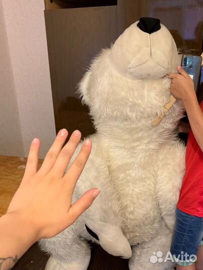 Плюшевый медведь