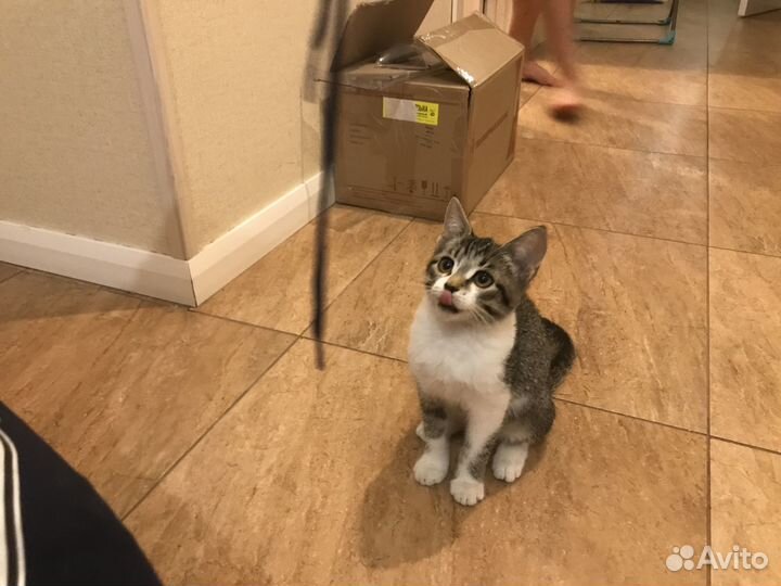 Милая девочка