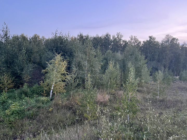 Участок 15 сот. (ИЖС)