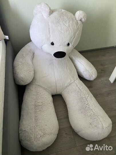 Большие плюшевые медведи