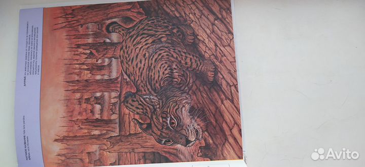 Книга вымершие животные