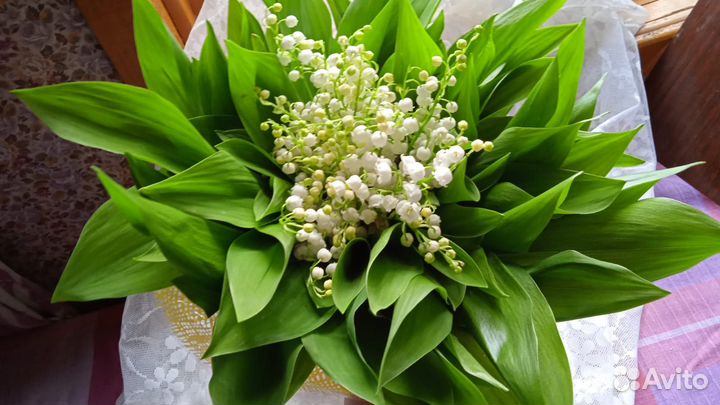 Букет ландыши,сирень,ирисы,пионы,полевые цветы