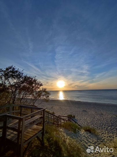 Экскурсия на Куршскую косу. Гид в Калининграде