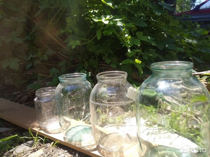 Банки стеклянные 3л,2л,1л,0,5л