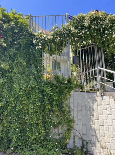 Коттедж 471,7 м² на участке 4 сот.