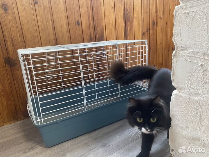 Клетка для грызунов большая