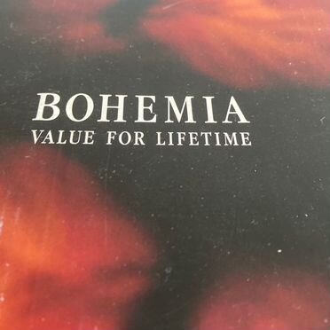 Бокалы bohemia value for lifetime