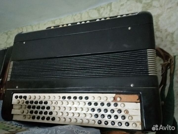 Баян тульский