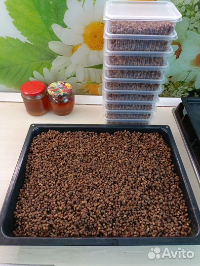 Перга пчелиная со своей пасеки