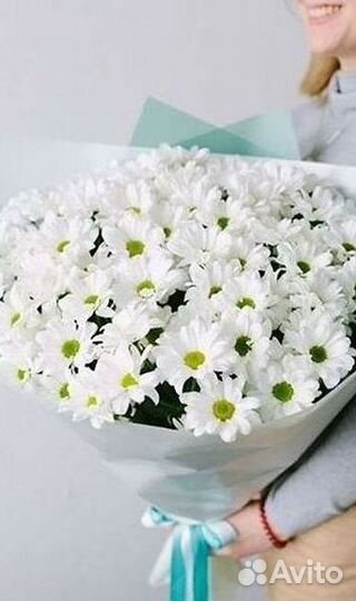 Хризантема Доставка цветов