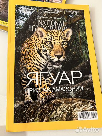 Журнал national geographic (5 штук)