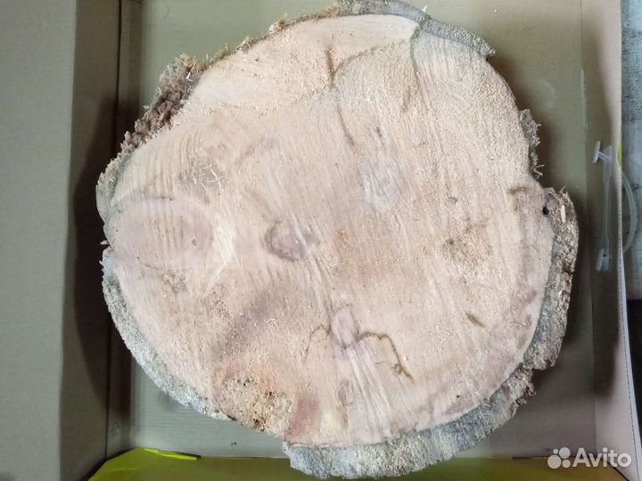 Спилы дерева