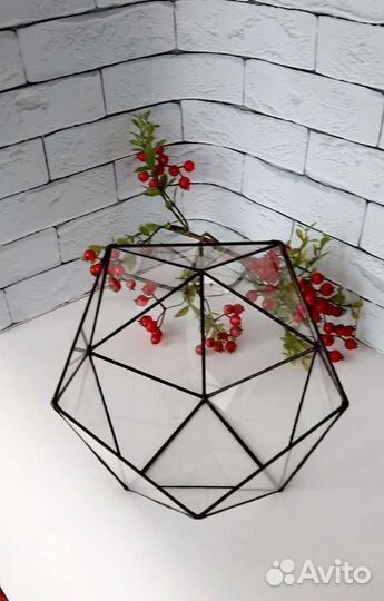 Флорариум геометрический