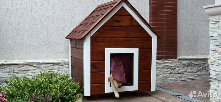 Собачки будки