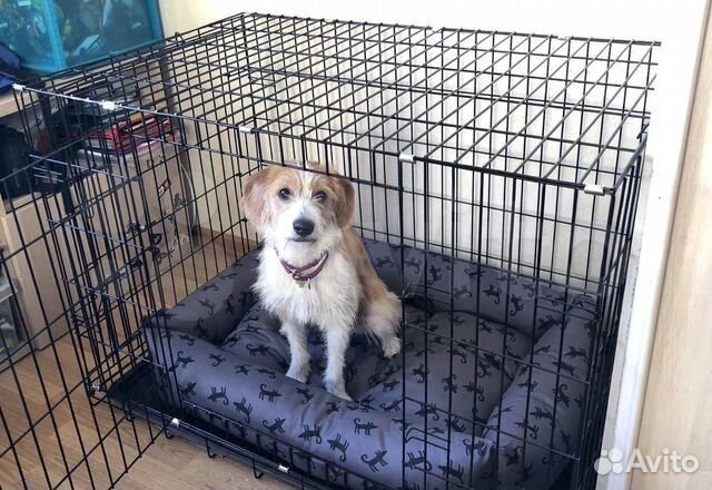 Клетки для coбaк и кошек домaшние