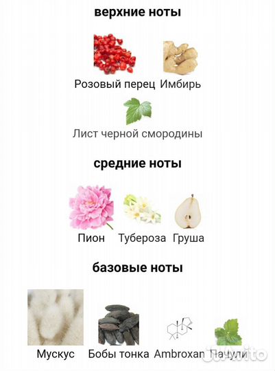 Lost in you Парфюмерная вода 50 мл