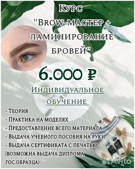 Обучение мастер бровист