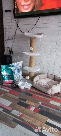 Кошачий домик бу