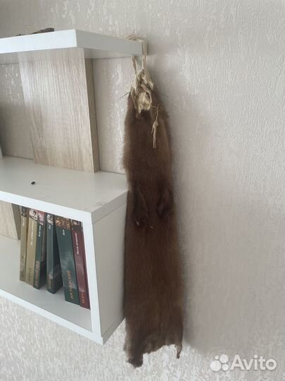 Шкуры норки