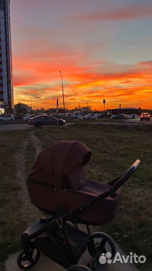 Коляска adamex cristiano 2 в 1