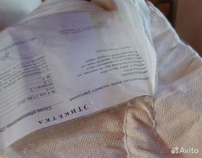 Семена лиственницы на заказ