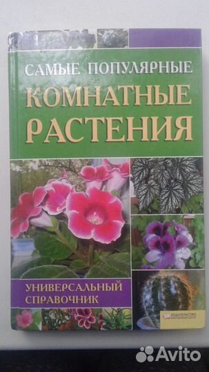 Самые популярные комнатные растения