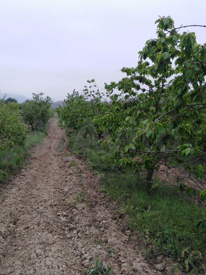 Участок 3,3 га (СНТ, ДНП)