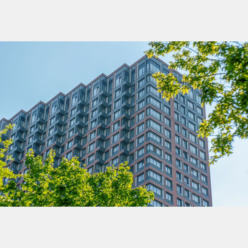 3-к. апартаменты, 162,9 м², 10/15 эт.