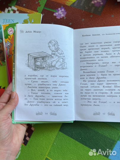 Дейзи Медоус котенок Амелия Лес дружбы