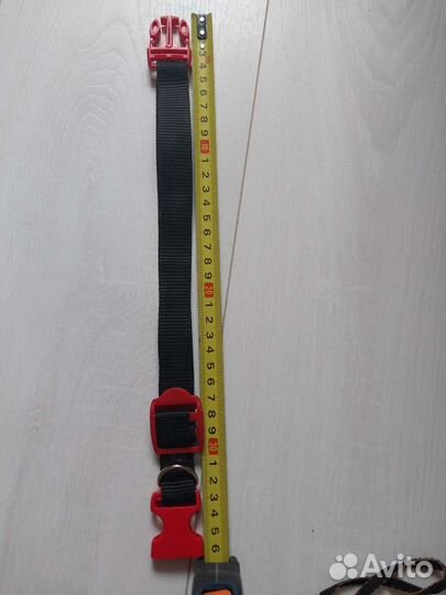 Ошейник для собак