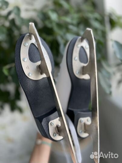 Коньки фигурные Nordway Nicole