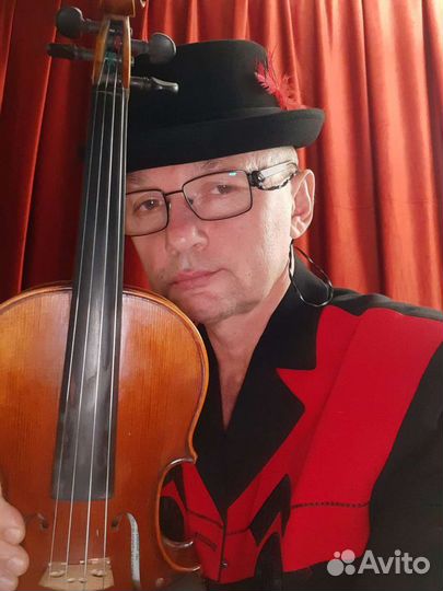 Живая музыка. Музыкант. Скрипач