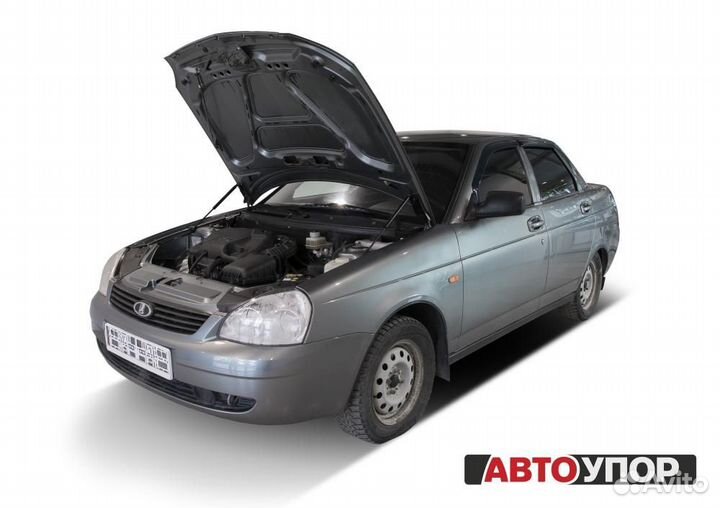 Газовые Упоры Капота LADA Priora (2007-18)