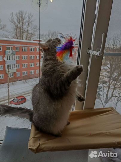 Гамак для кошек на окно