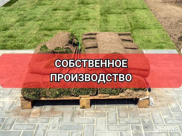 Рулонный газон