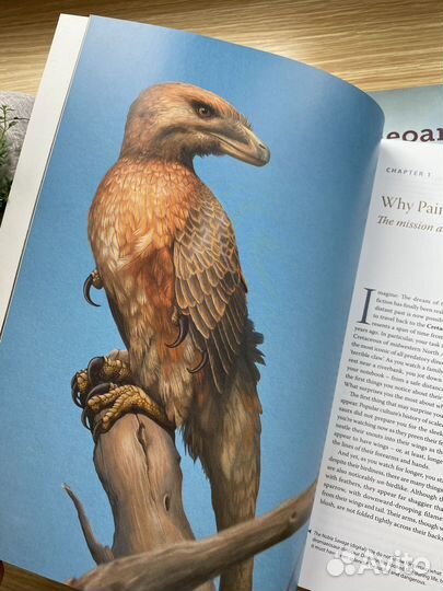 Книги по искусству и палеонтологии 3 шт