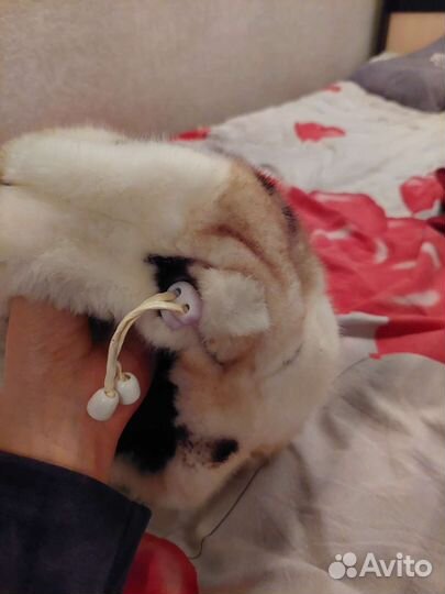 Шапка женская