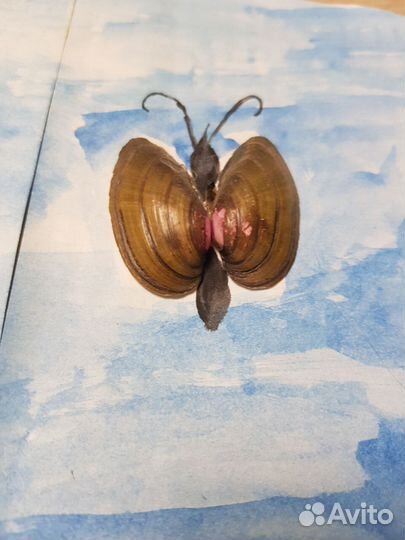 Рисунок 1 класс или детский сад