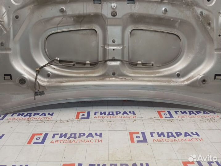 Капот Renault Sandero Stepway (5S)