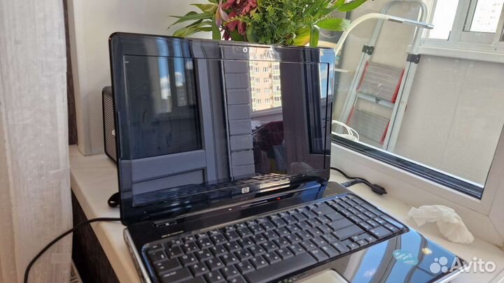 Ноутбук hp pavilion dv6