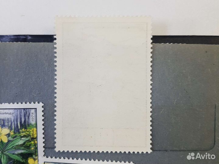 Марки сссрновые 1975-76г набор