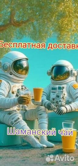 Чай пуэр « Космос шаманов » шмн11501