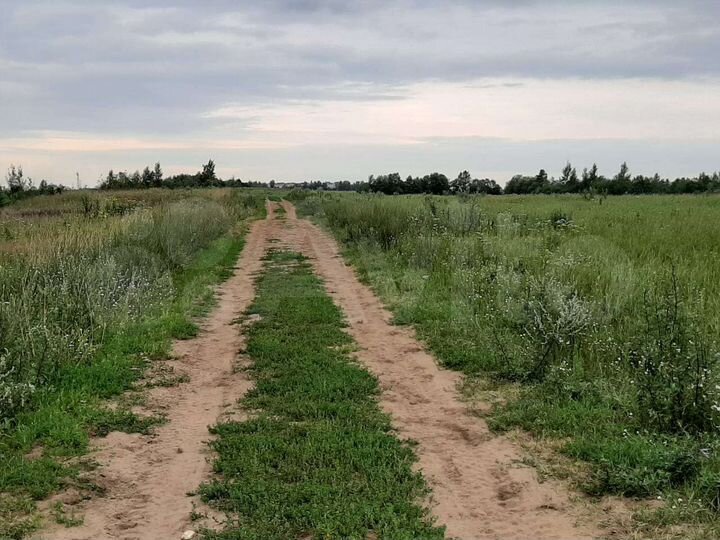 Участок 1,7 га (СНТ, ДНП)