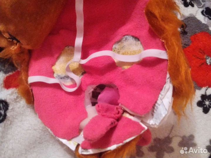 Фурсьют лисы